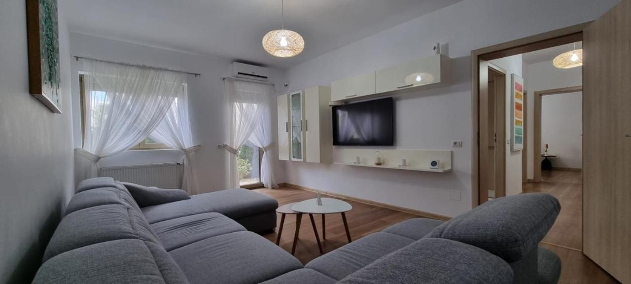 Sasu Apartment Timişoara Exterior foto