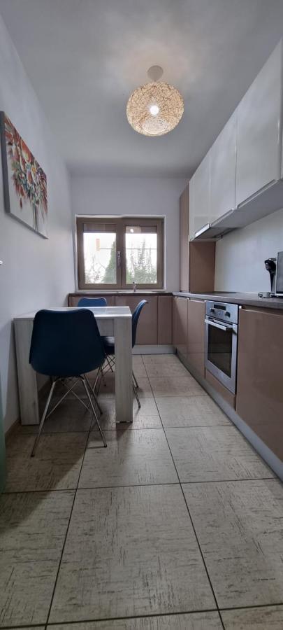 Sasu Apartment Timişoara Exterior foto